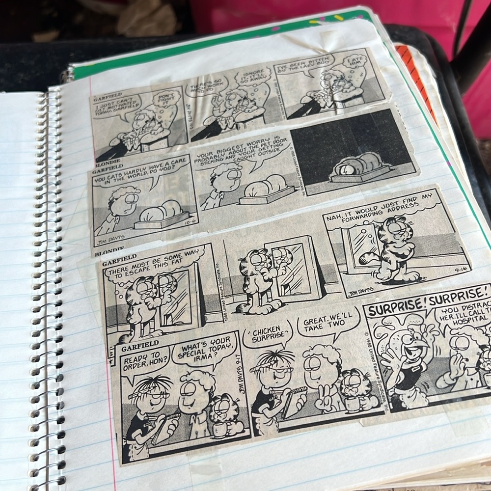 Garfield - Picture 2 of 5